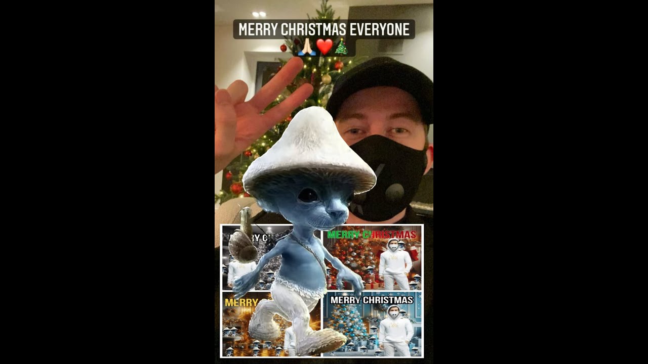 Alan Walker & Smurf Cat Celebrate Christmas