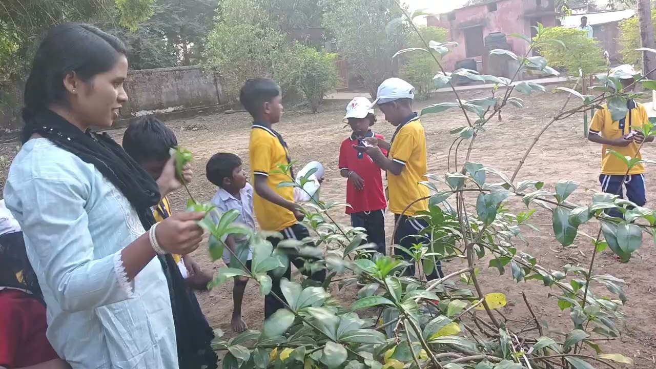 DECE project video day16// Activity 2