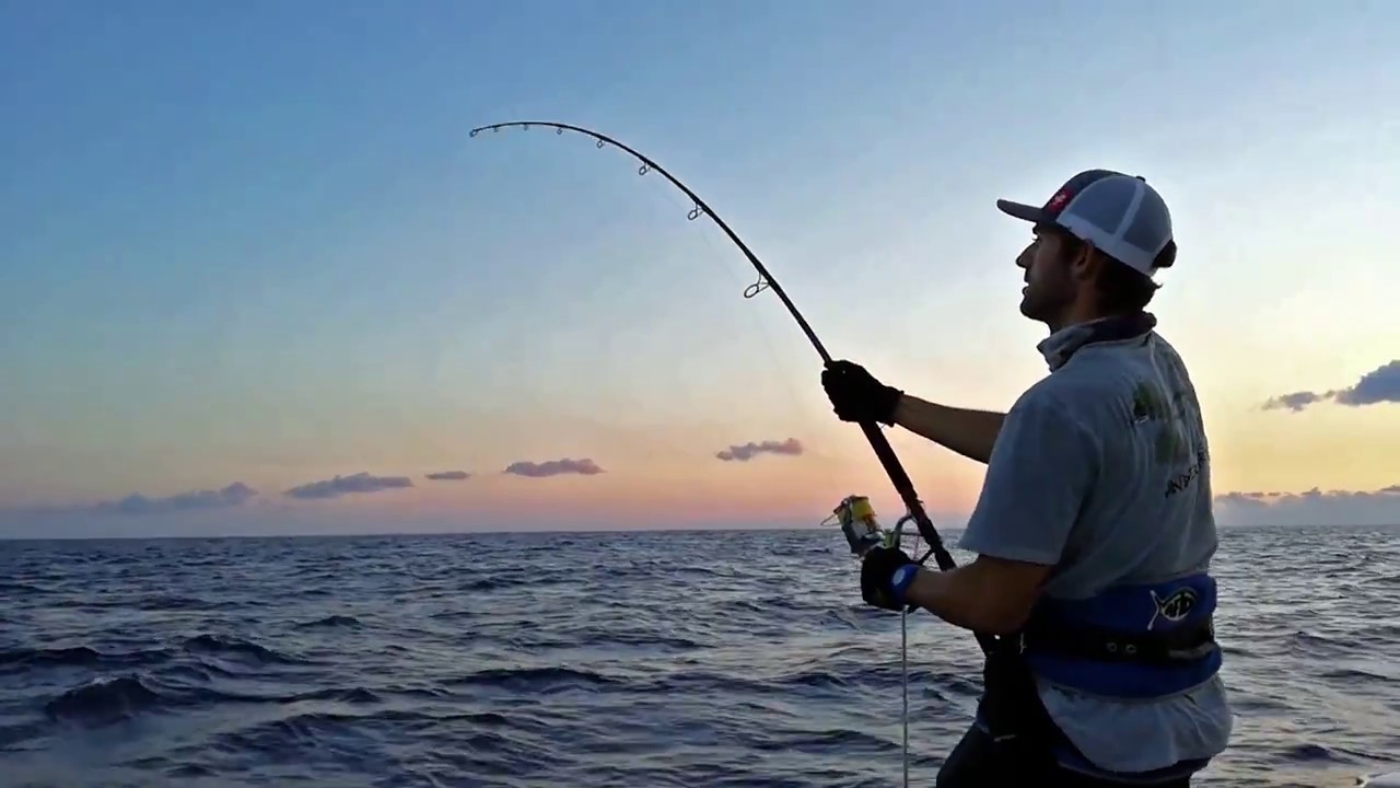 500 pounds Blue Marlin on Shimano Stella 20000