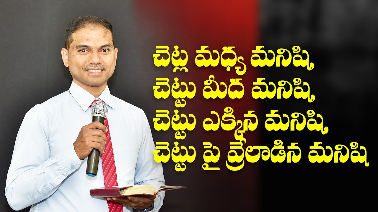 చెట్ల మధ్య మనిషి, చెట్టు మీద మనిషి, చెట్టు ఎక్కిన మనిషి, చెట్టు పై వ్రేలాడిన మనిషి | 𝐵𝑟𝑜.𝐽𝑜𝑠𝒉𝑢𝑎 