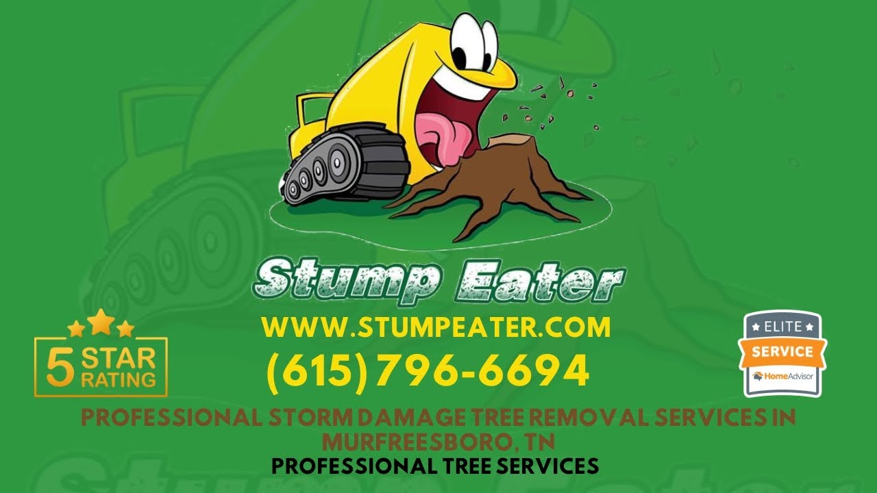 Professional  Storm Damage Tree Removal Services in Murfreesboro, TN