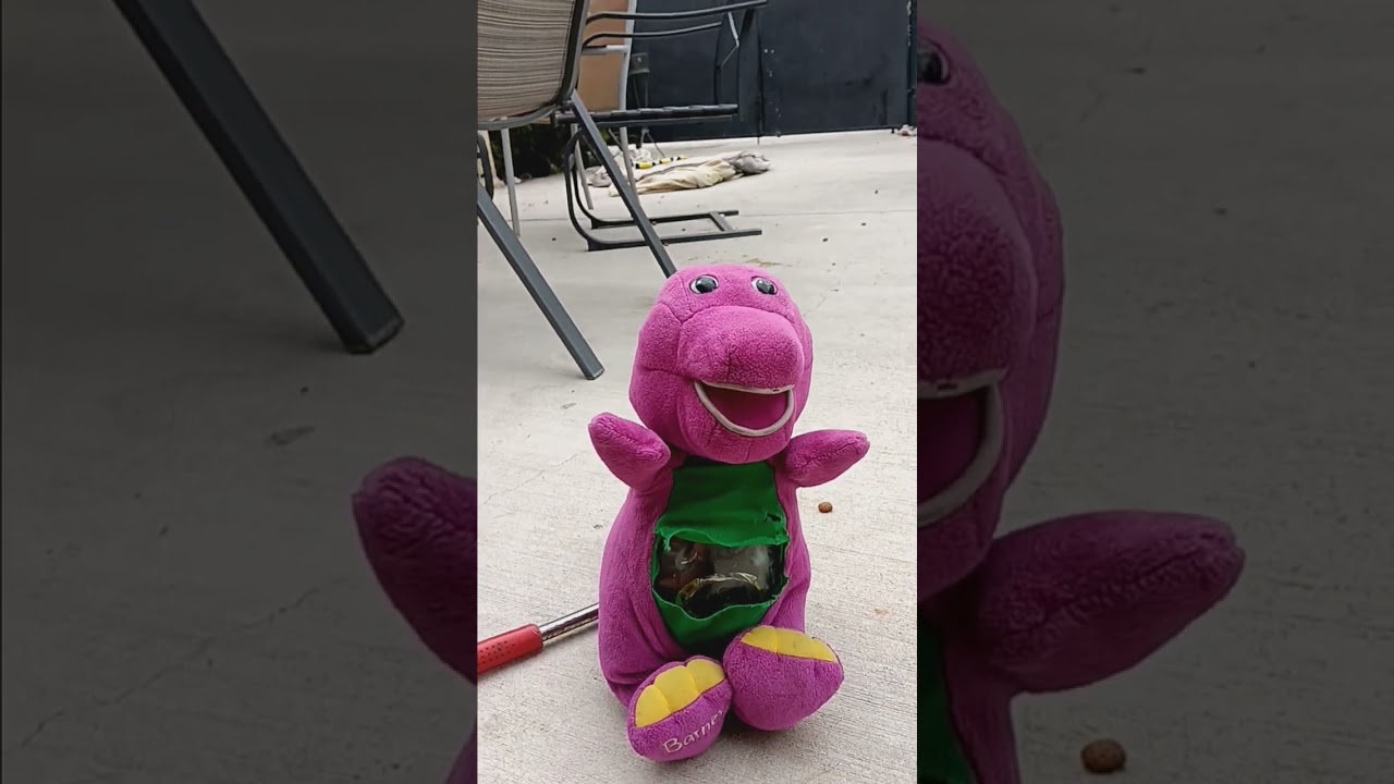 I destroyed barney toy