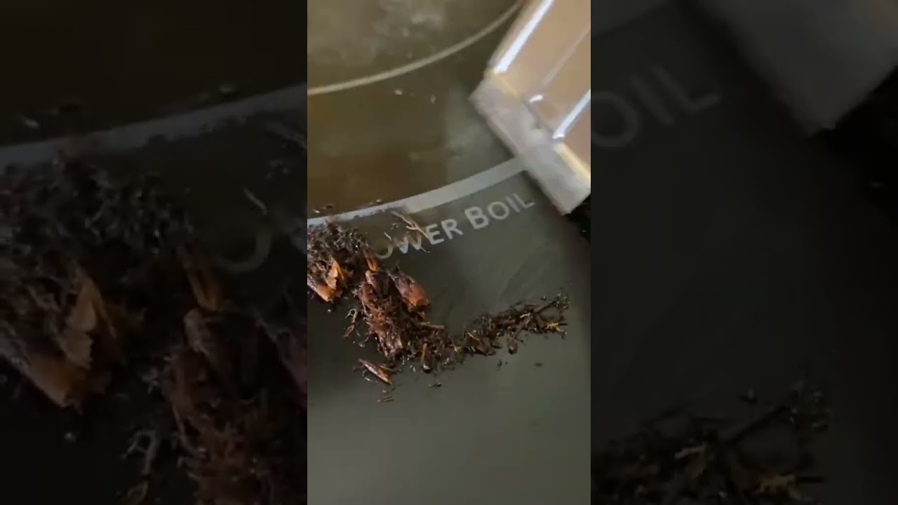 Clean Burn Marks Off a Glass Stovetop