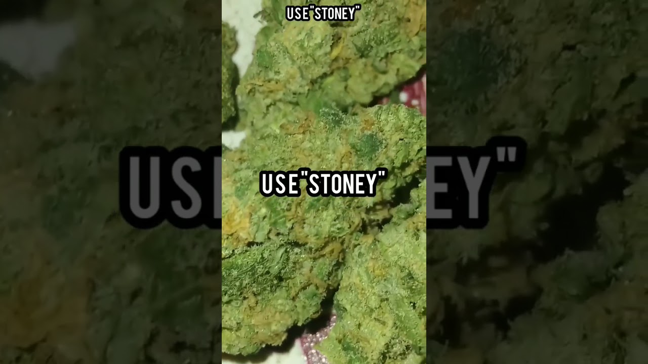 The Weed Box Blue Dream Thca Flower