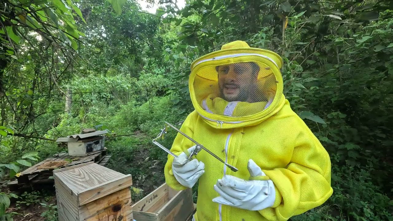 meu melhor ENXAME está assim (tô rindo de nervoso)