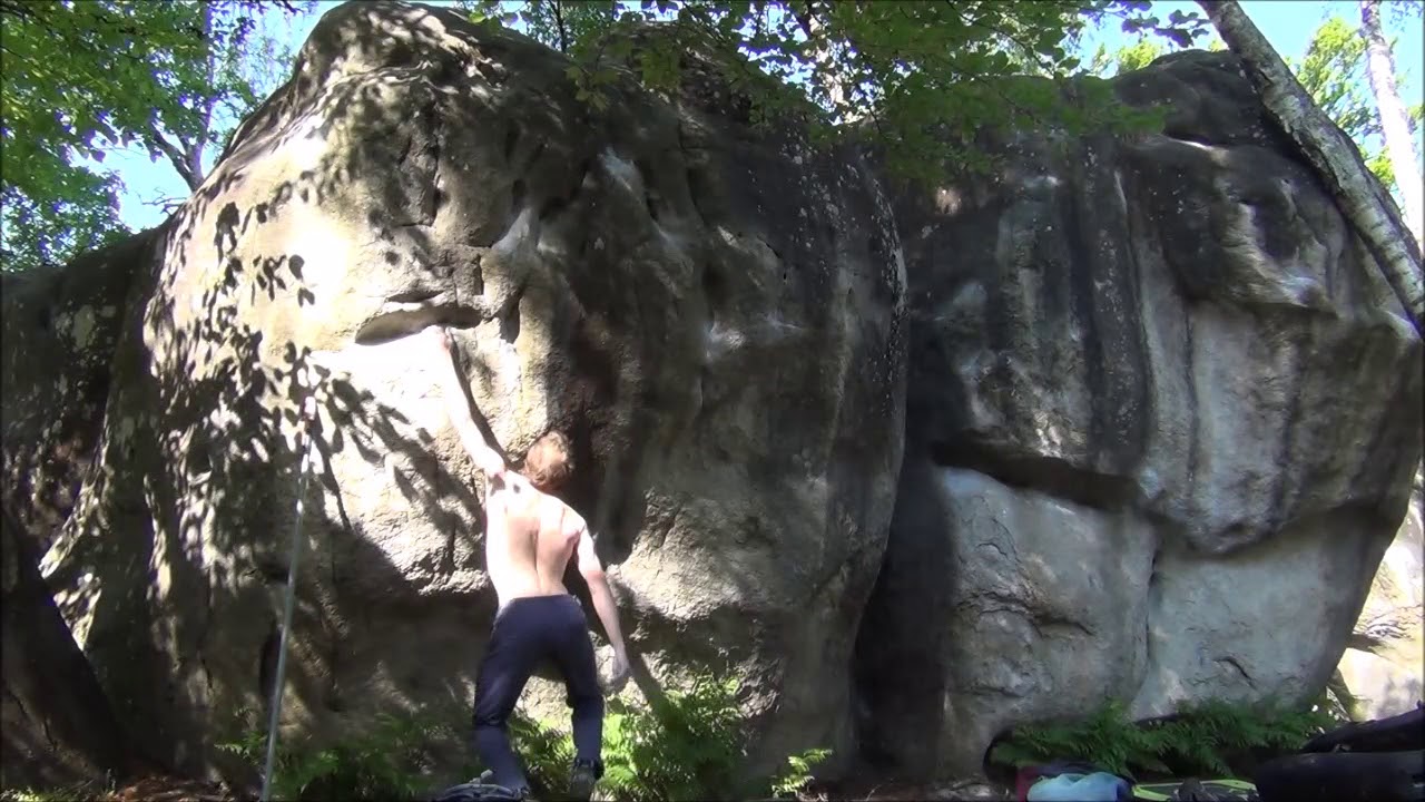 Fontainebleau - Cuvier - Infithèse 7C
