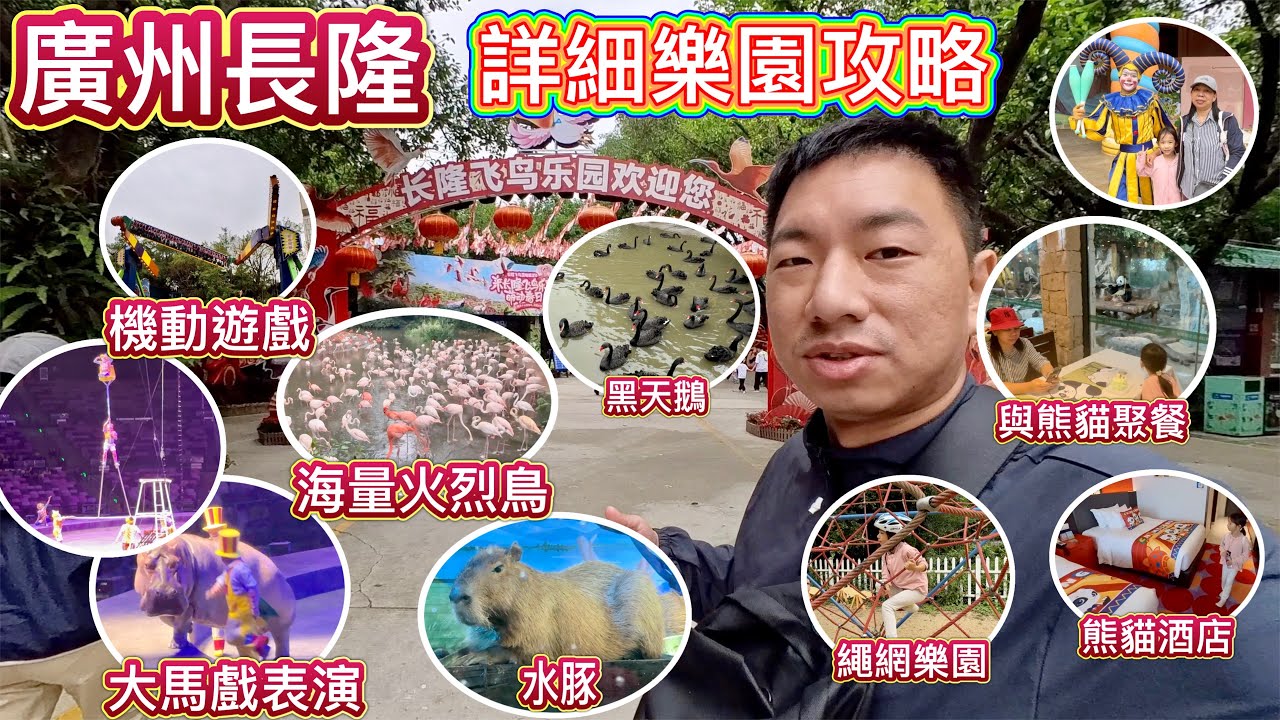 廣州長隆樂園遊玩攻略！超抵兩日一夜行程，入住熊貓酒店，動物世界，大馬戲、飛鳥樂園、歡樂世界，玩轉四大樂園，交通攻略，行程分享！