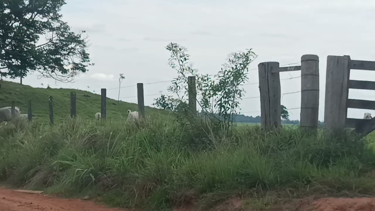 Estrada vicinal,e a BR 174 Juína MT 
