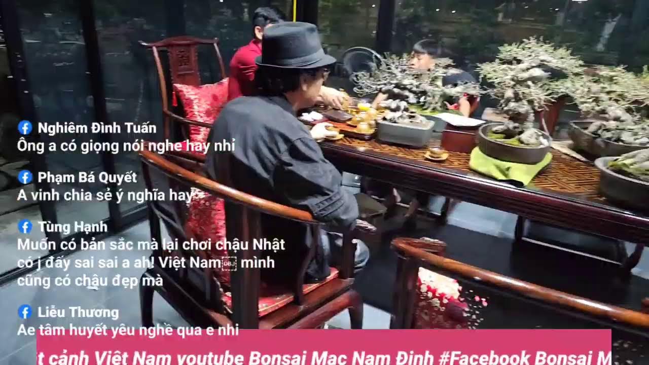 Phát trực tiếp của Bonsai Mạc Nam Định