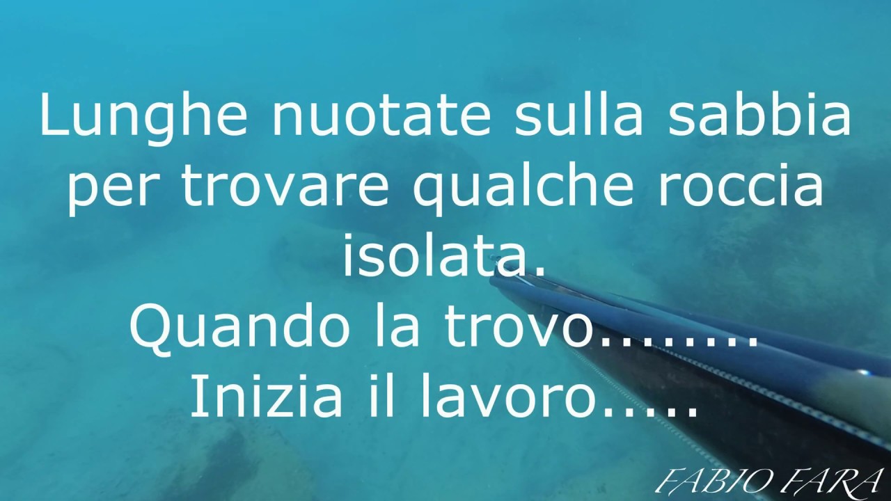 pescasub:TRUCCHI PER I PRINCIPIANTI