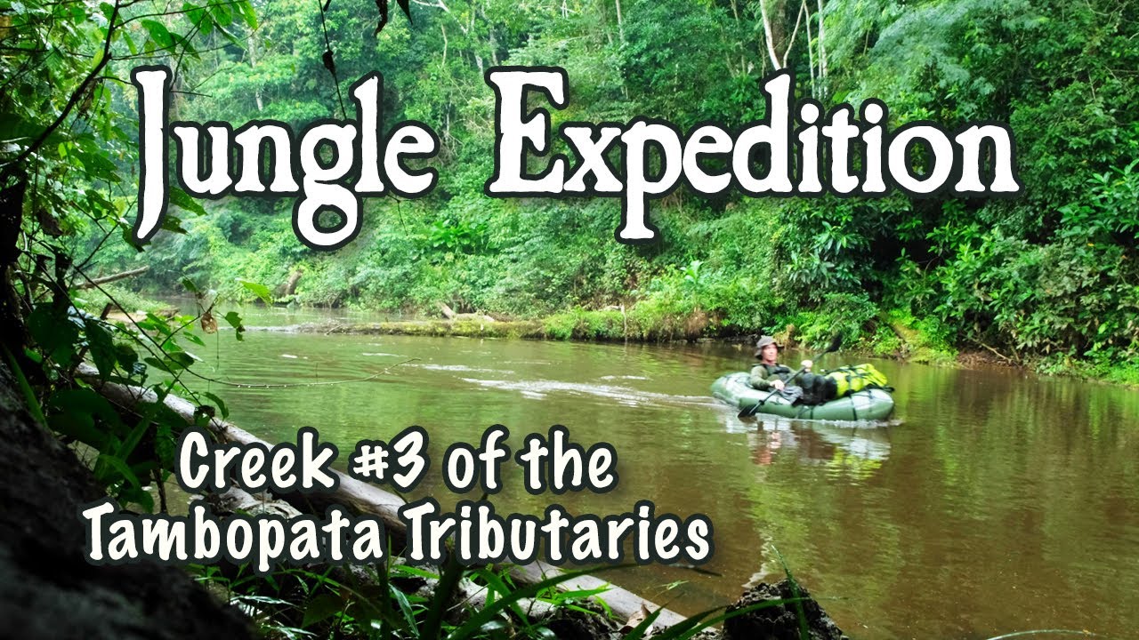 Solo Jungle Trip - Creek #3 Packrafting the Tambopata River Tributaries
