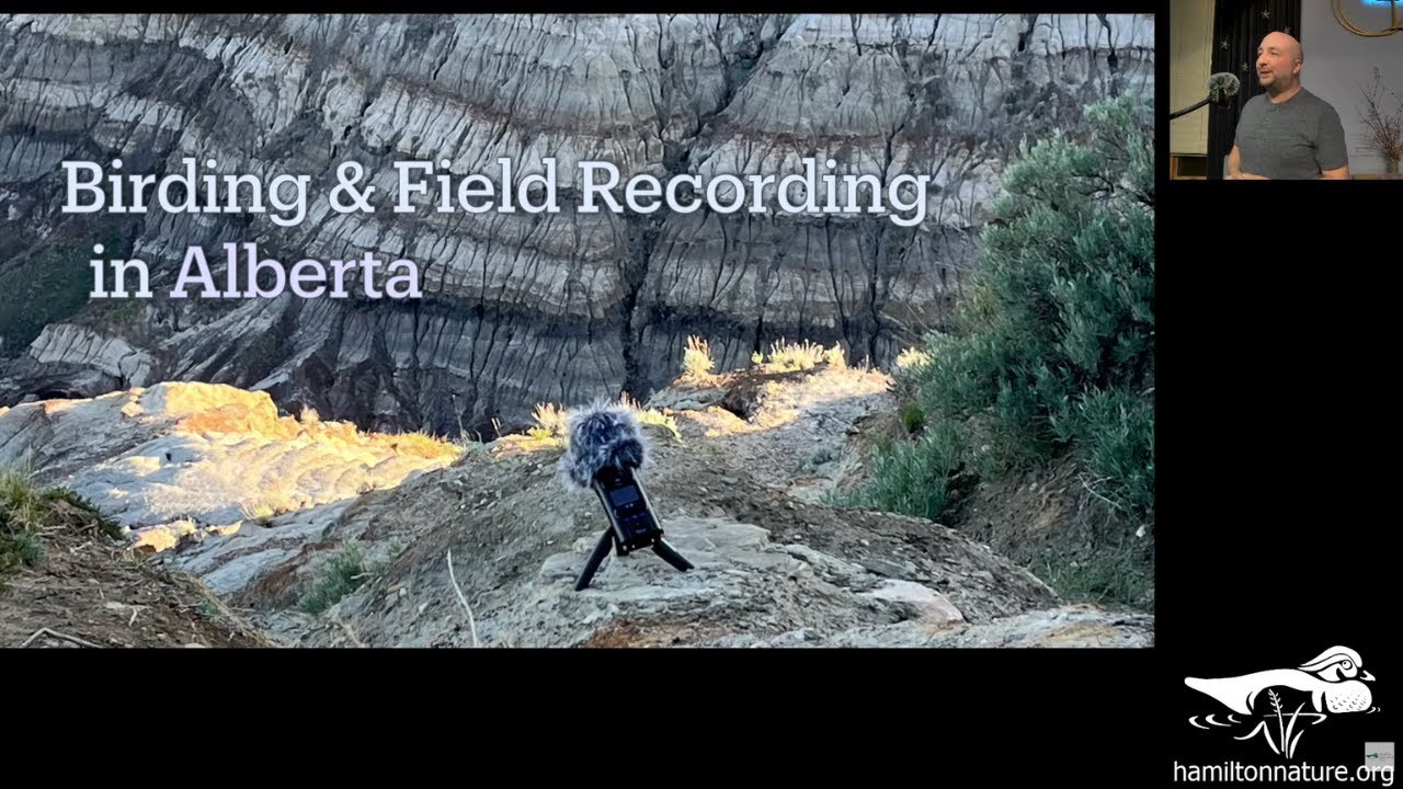 Bird Study Group: Birding & Field Recording in Alberta