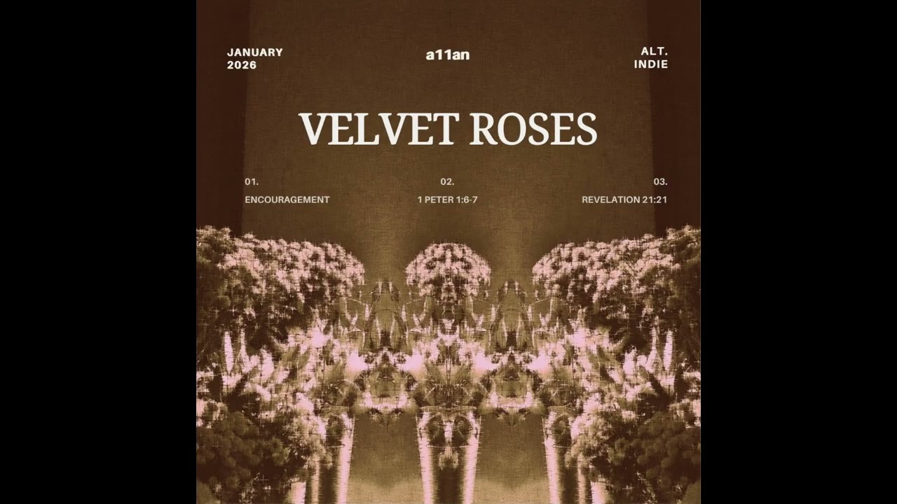 velvet roses - a11an