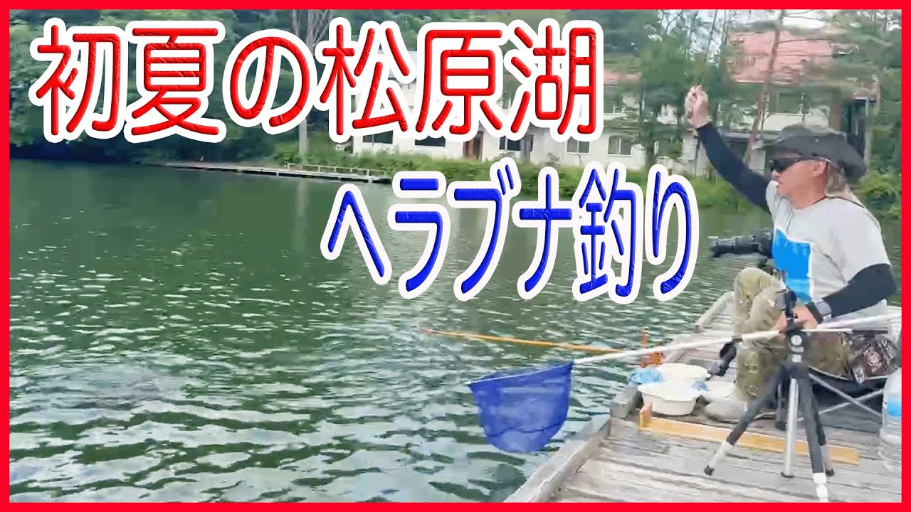 ヘラブナ釣り初夏の松原湖#名物カツ丼#トンボも食い付く#ヘラ竿が持ってかれる#Let's enjoy fishing together!