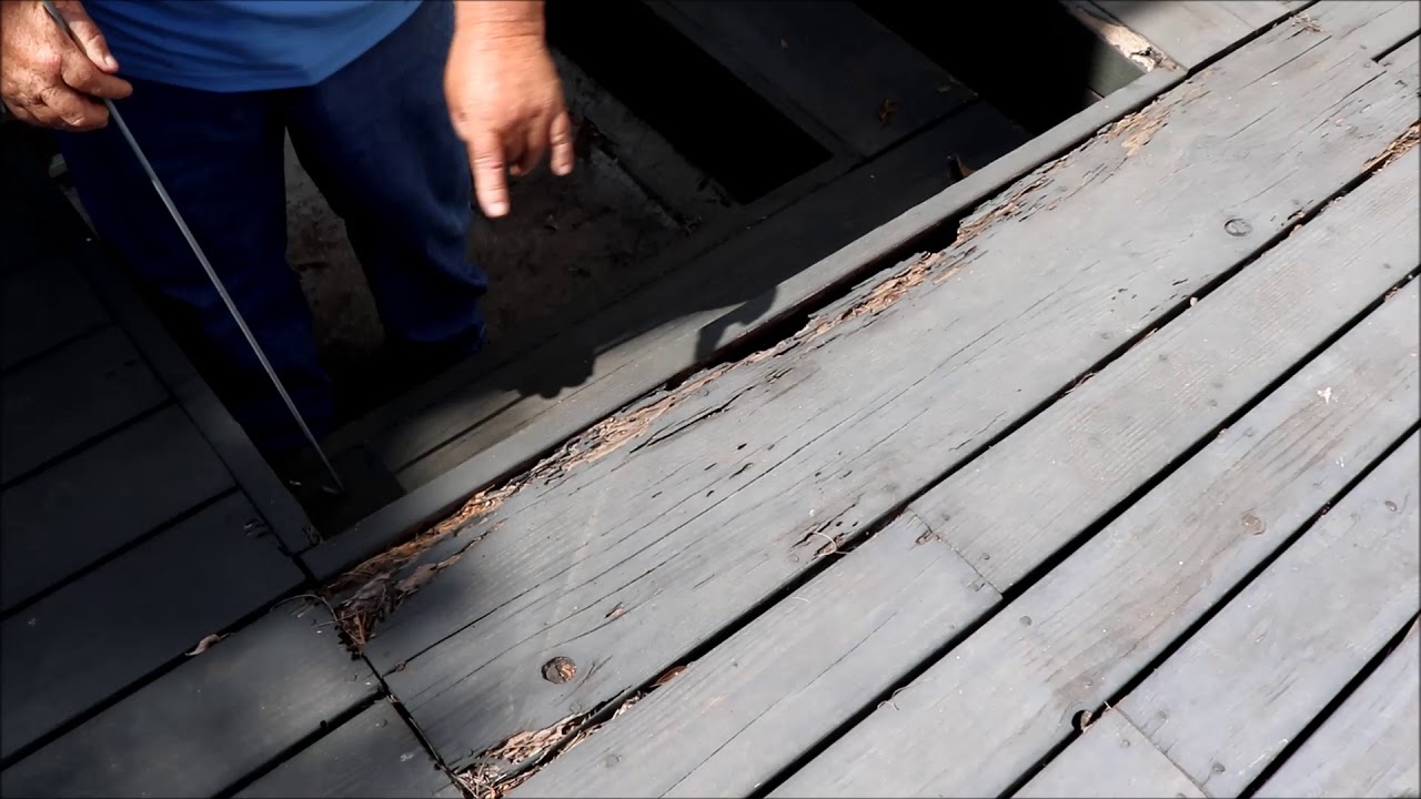 Termite Damage Deck