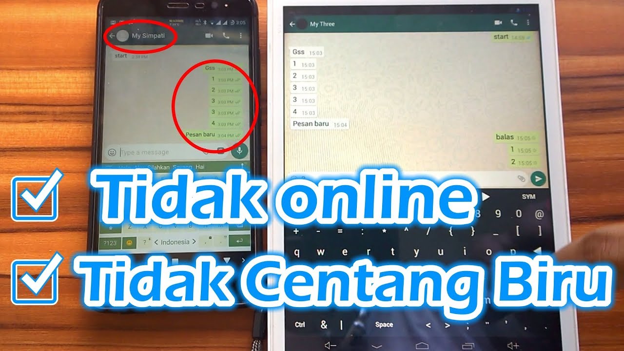 Cara WhatsApp Tidak Terlihat Online + Tidak Centang Biru Tanpa Install Aplikasi Tambahan