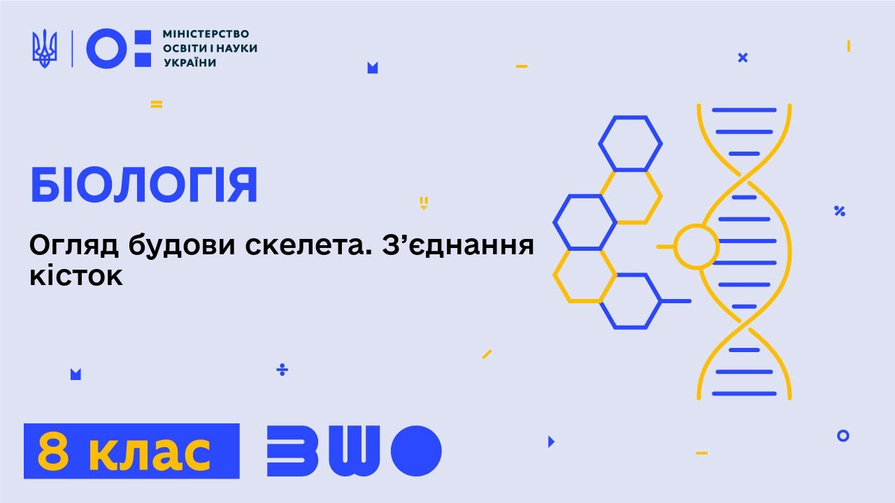 8 клас. Біологія. Огляд будови скелета. З’єднання кісток.