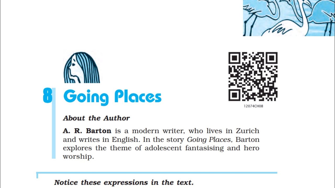 Going places (Flamingo) line by line explanation in hindi | CBSE Class 12 English |