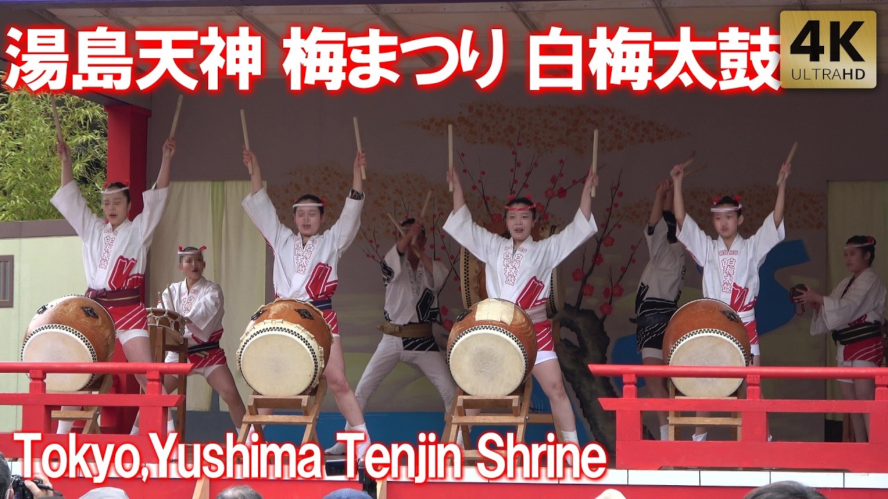 湯島天神 梅まつり 外国人観光客も迫力の和太鼓に釘付け！白梅太鼓 Tokyo,Yushima Tenjin Shrine Wadaiko. Ume Plum Festival 2026