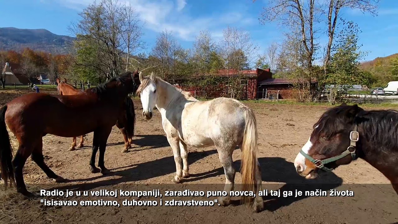 Ranč Brucea Yelkovicha u Velikoj Plani
