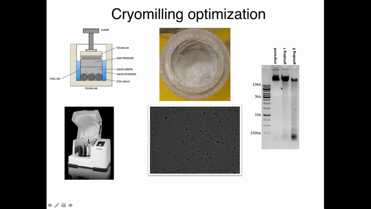 Developing a new framework to detect and link protein complexes to specific chromatin interactions