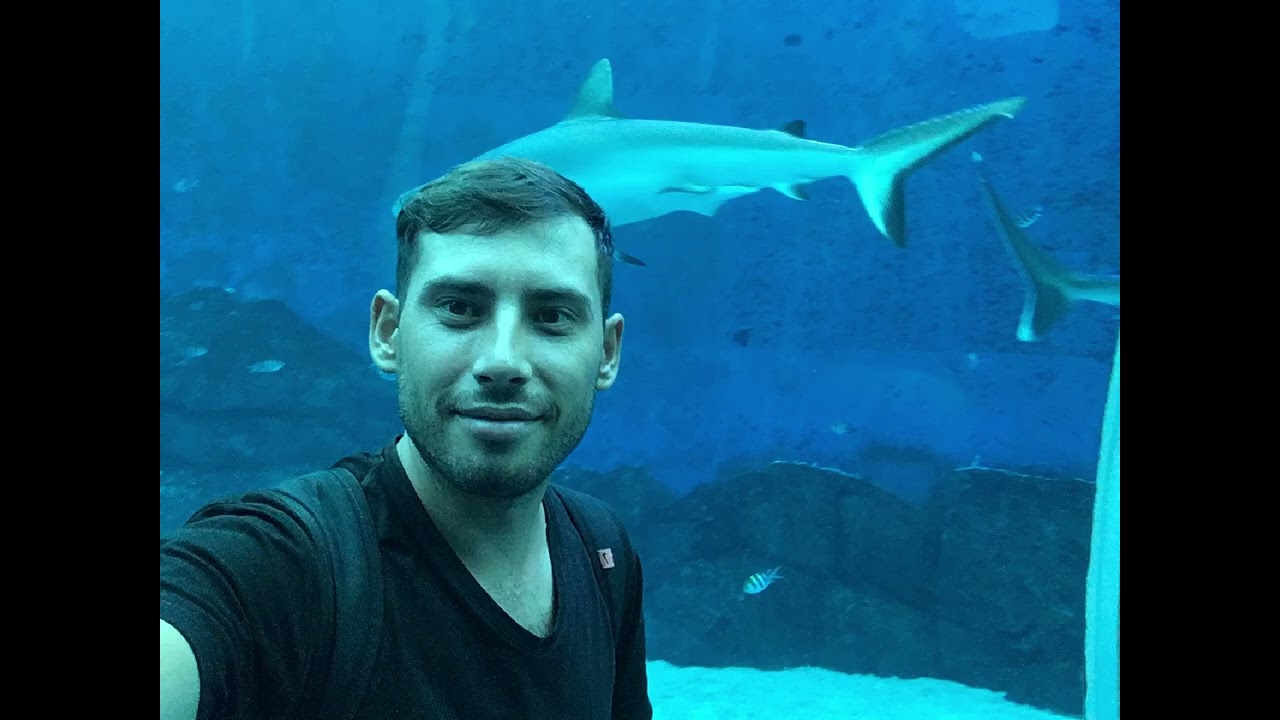 Сингапур 2018