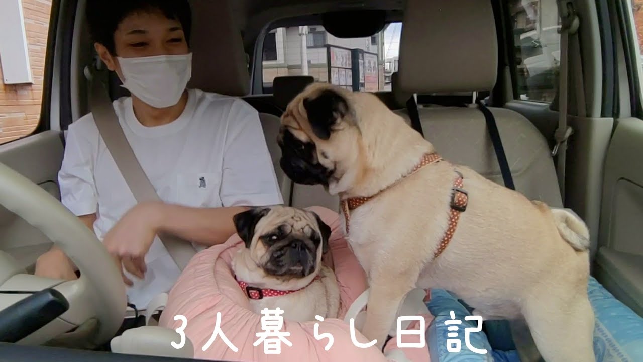 家族３人での初ドライブが楽しすぎた