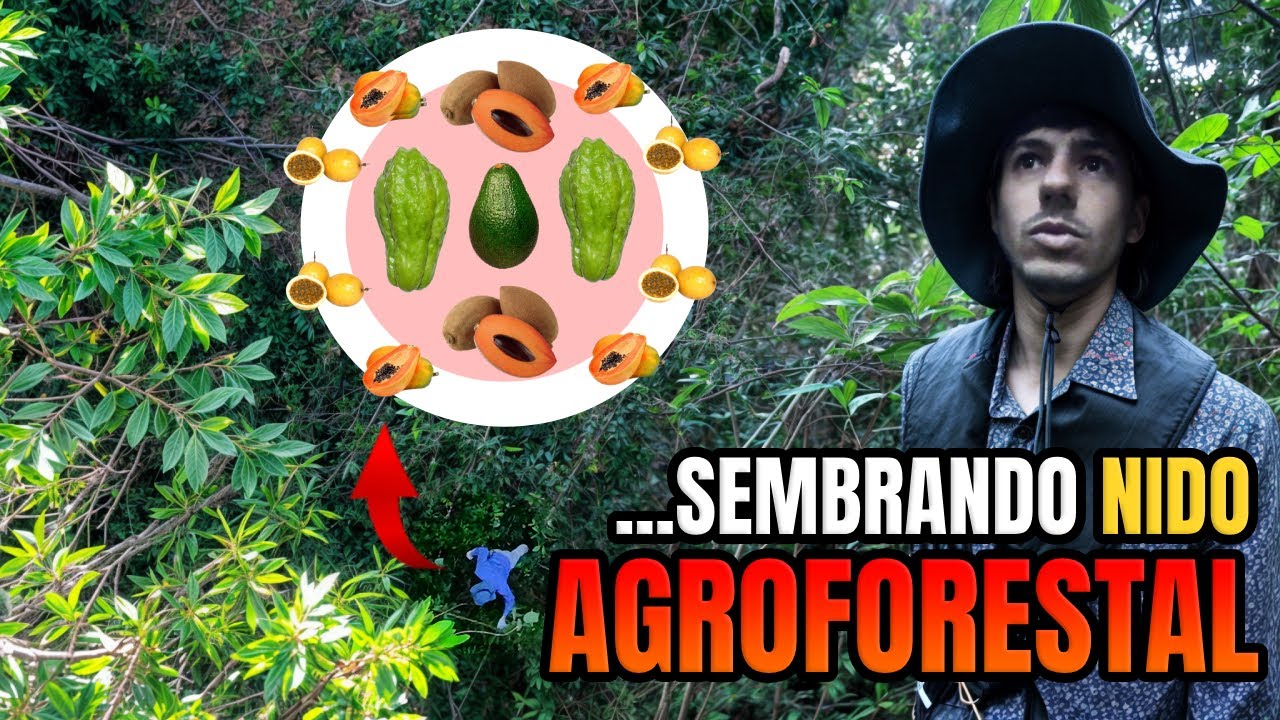 👀FÁCIL y EFECTIVO: Cómo Iniciar un Mini BOSQUE DE ALIMENTOS SINTRÓPICO