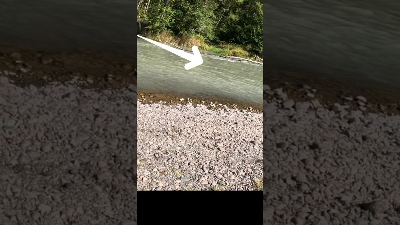 Almost lose it!! "FLIP THE BAIL OPEN TRICK" TO STOP A FISH FROM RUNNING, with original lyrics 