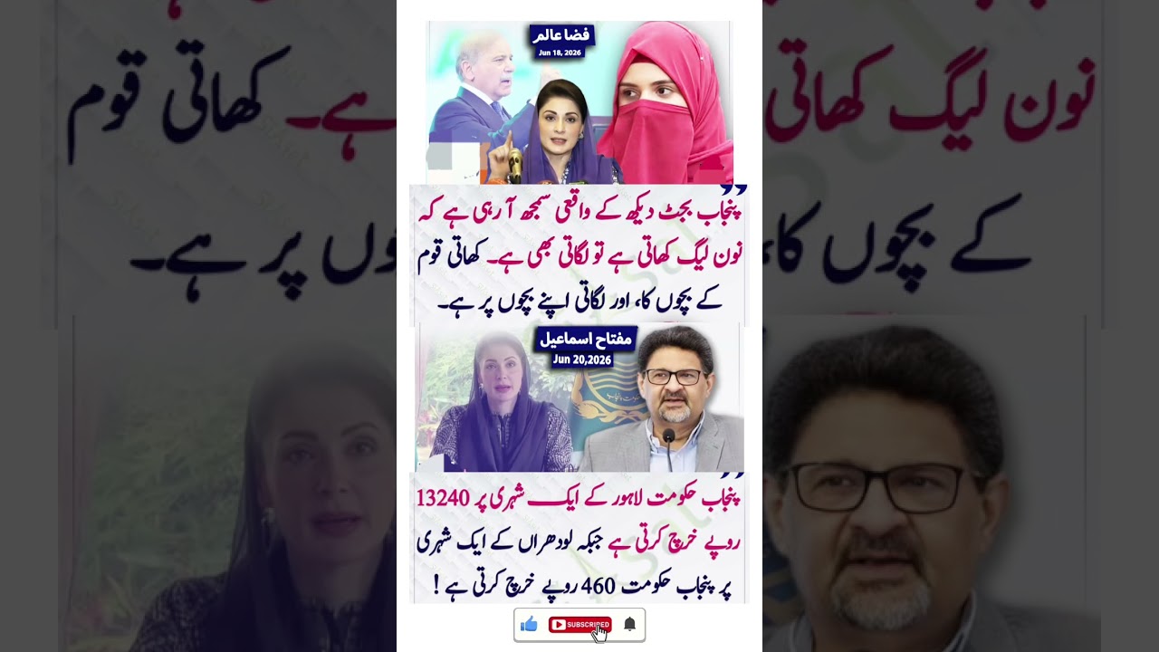 Miftah Ismail & Faza Aalam Blast Punjab Budget 2024 | نون لیگ کھاتی ہے تو لگاتی کہاں ہے؟ #motivation