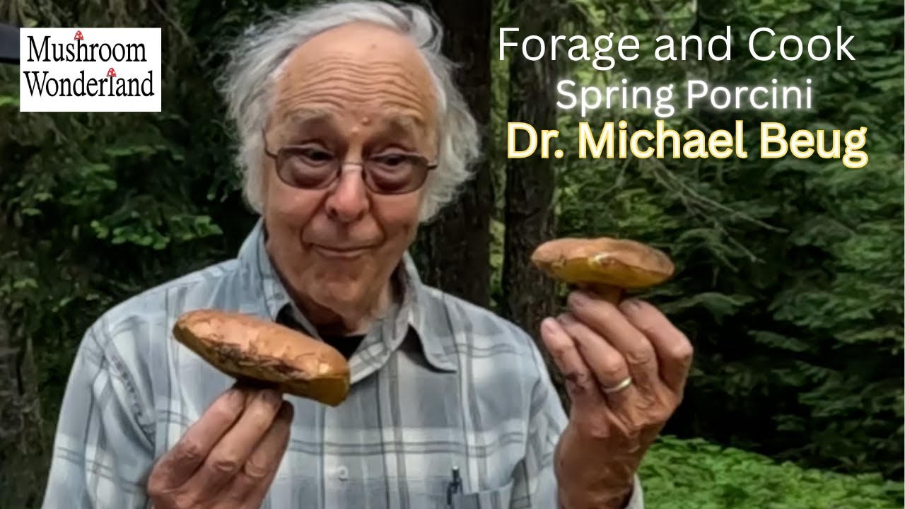 Wild Mushrooms with Dr. Beug, Forage and Cook Spring Porcini