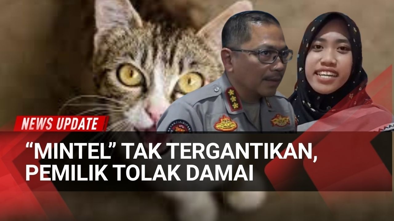 Pria Tendang Kucing Saat Jogging, 