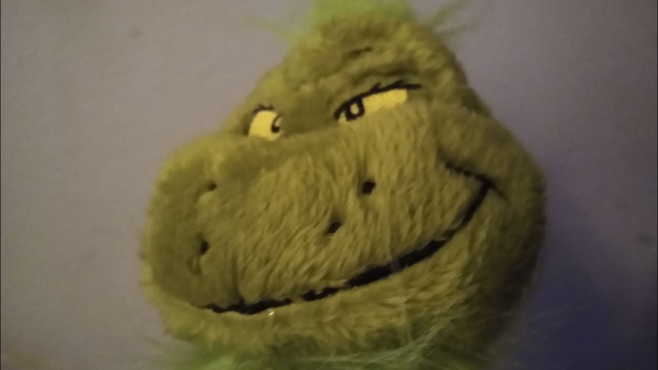 The Grinch In A Nutshell