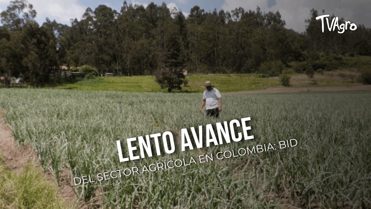 Lento avance del sector agrícola en Colombia: BID - TvAgro por Juan Gonzalo Angel