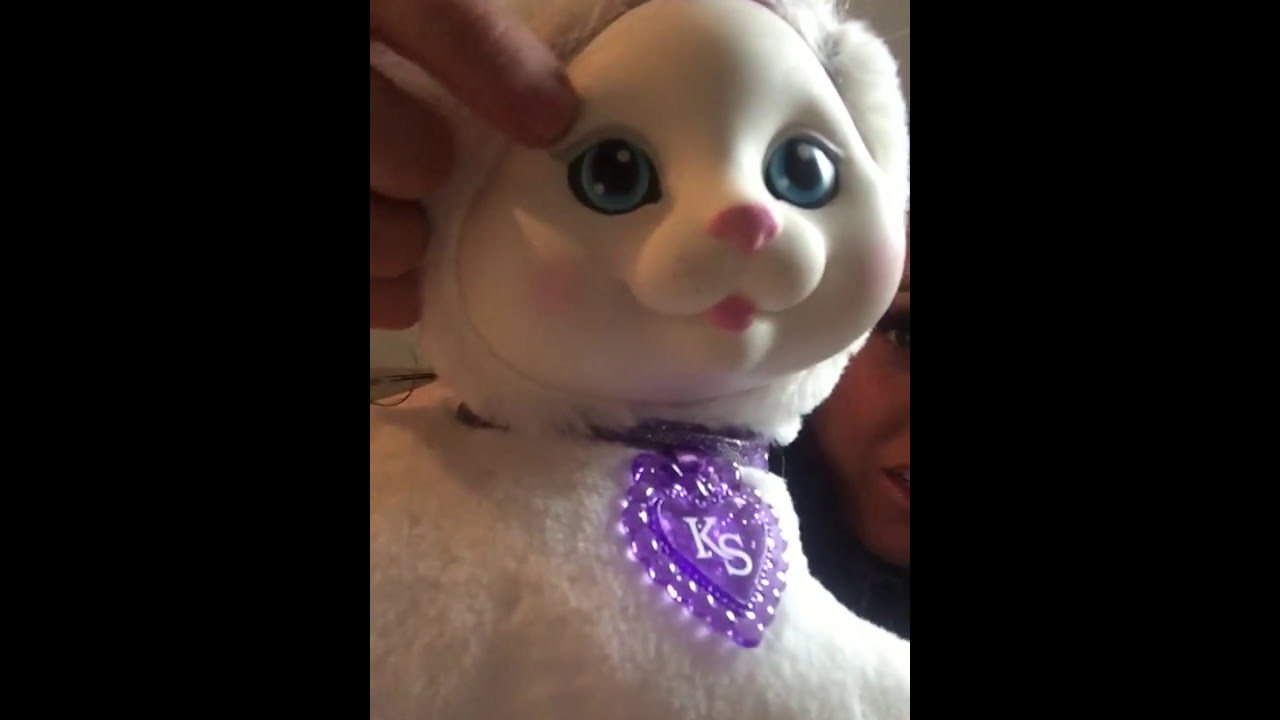 Kitty Surprise Is Finally Mine!
