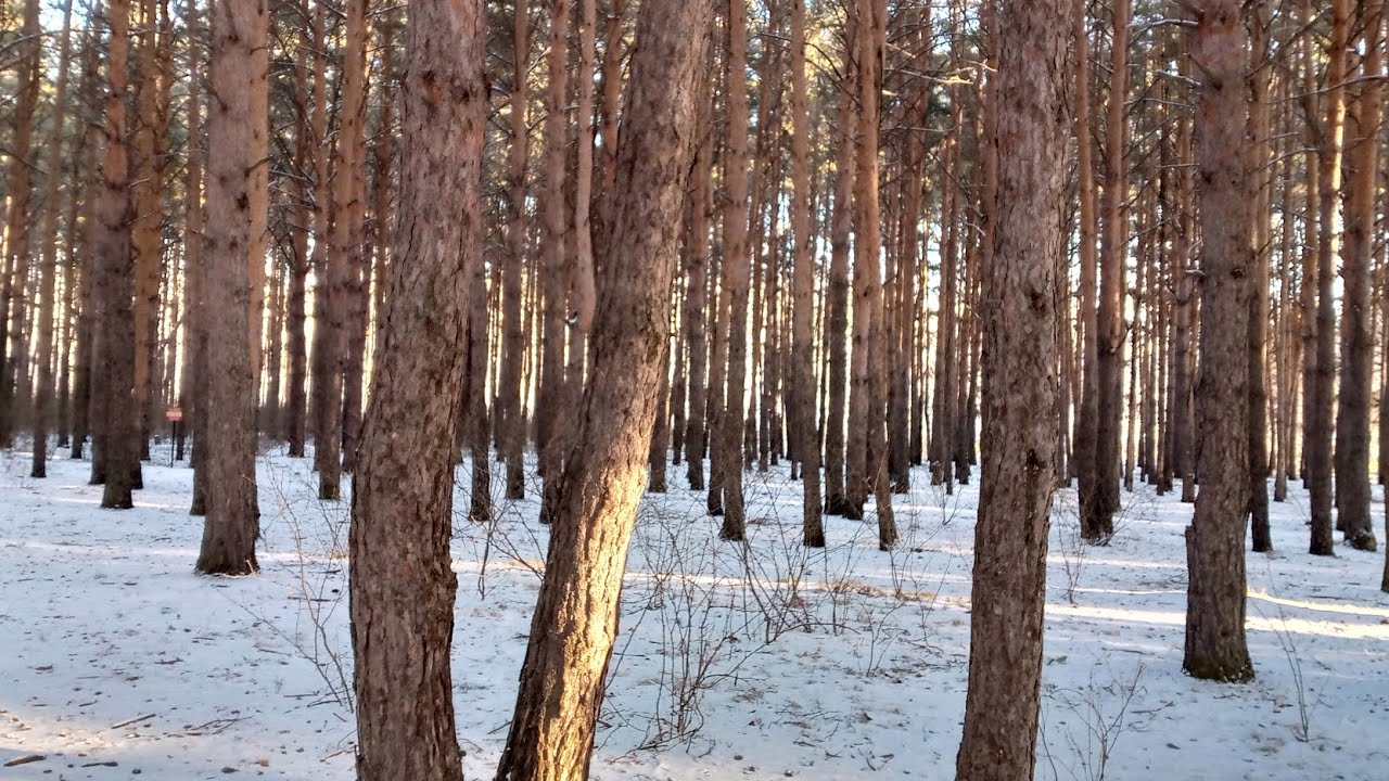 8 декабря 2025 г.@ЕленаСорокина-я1х @каплядождя-ф6м @Piakstt @