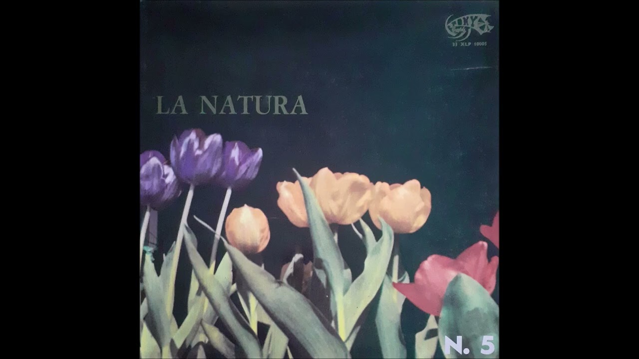 Orchestra Mario Bertolazzi - Fiori (1972)