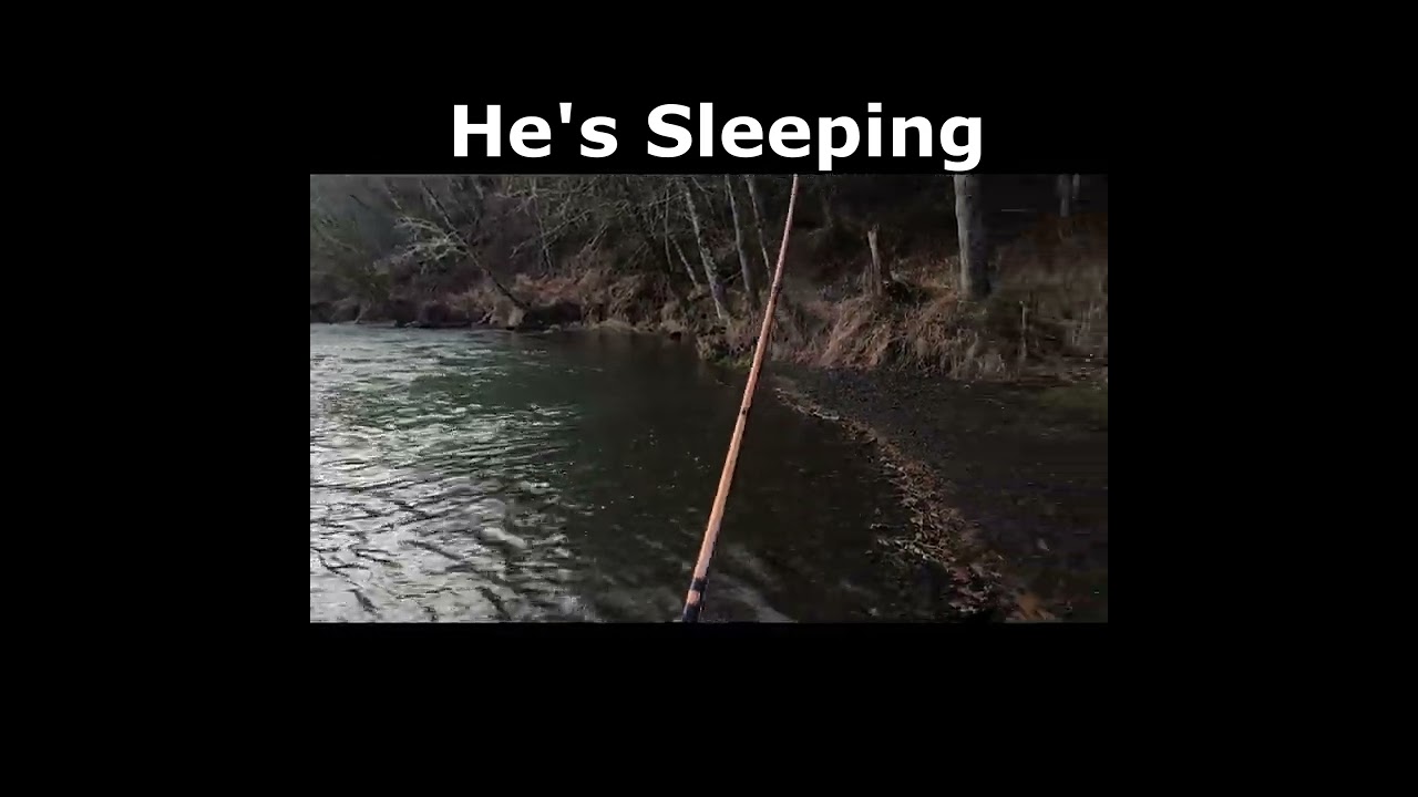Sleeping at the Cowlitz river