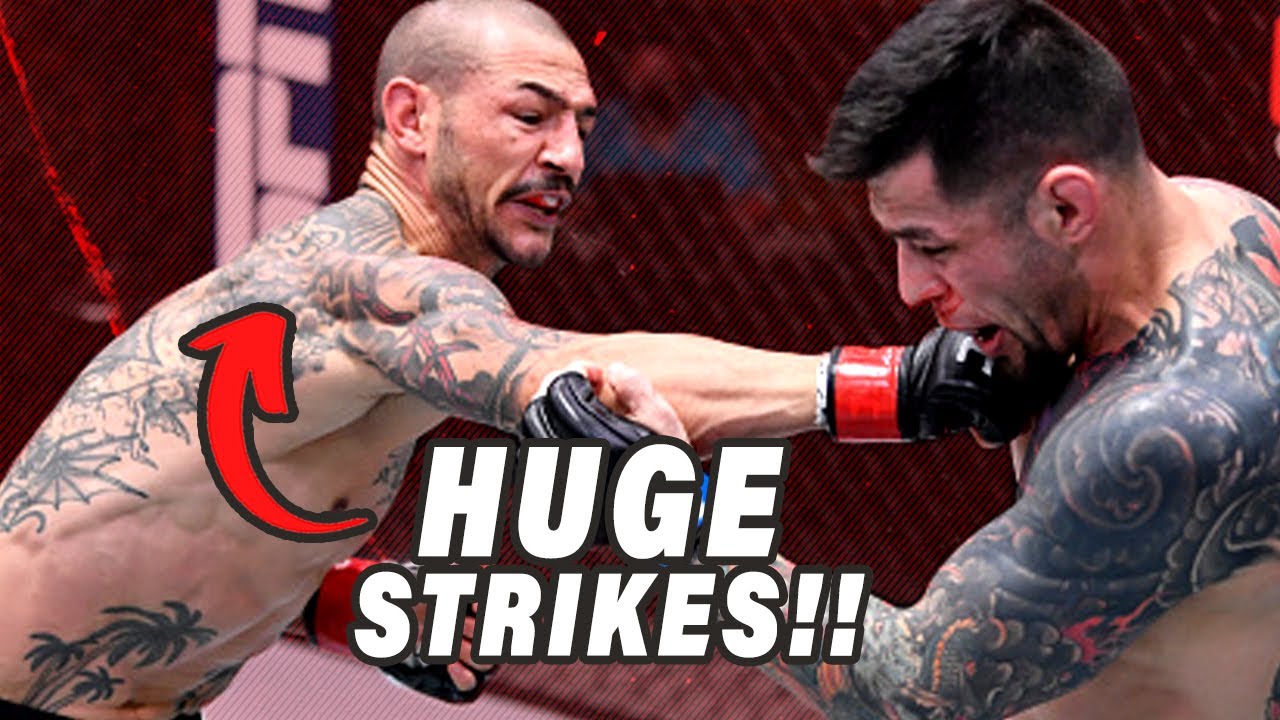 Все Cub Swanson финишировали в ММА!!