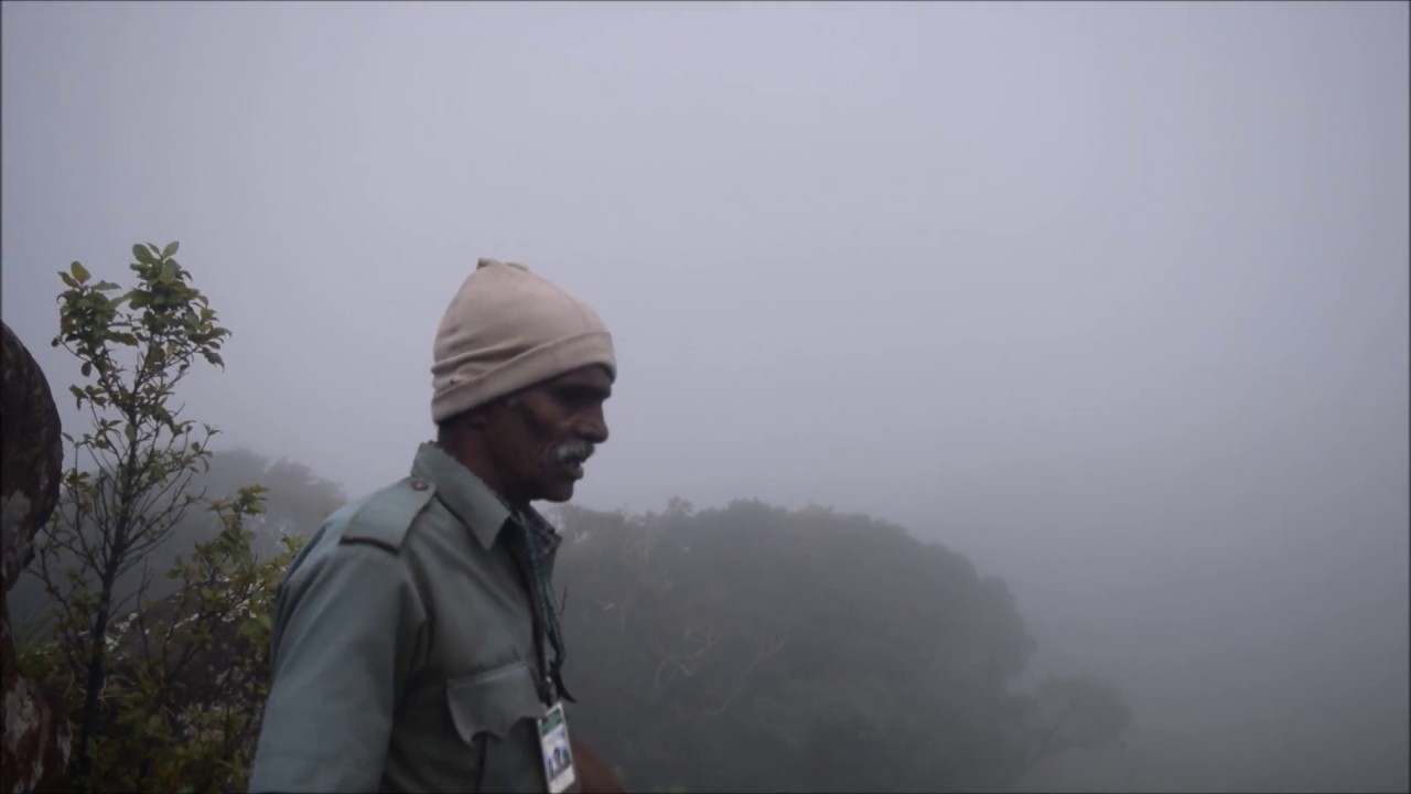 Ponmudi Seethakulam Trekking