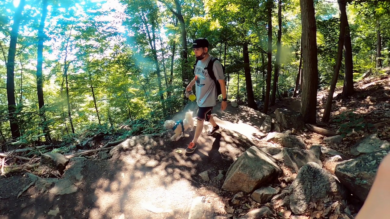 Hike more, worry less
