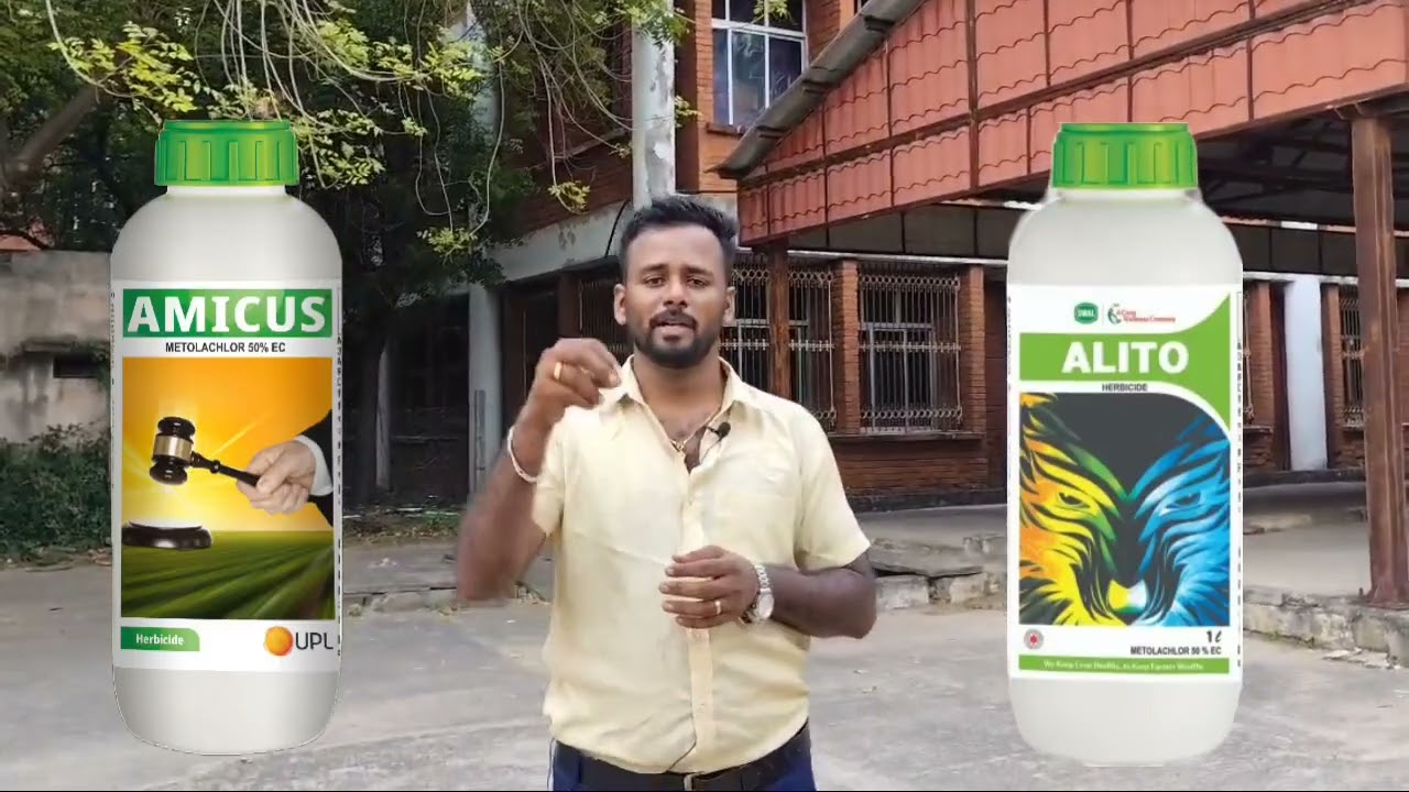 turmeric herbicide -மஞ்சள் களைக்கொல்லி - என்னென்ன அடிக்கலாம்!