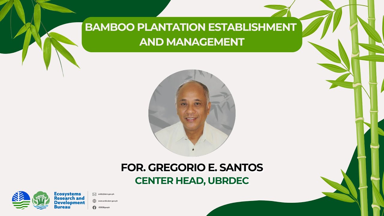 LECTURE 2: Bamboo Plantation and Management