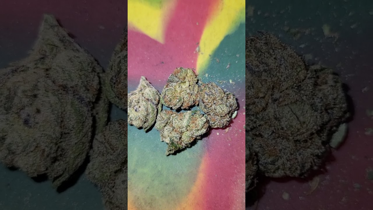 Pink Certz