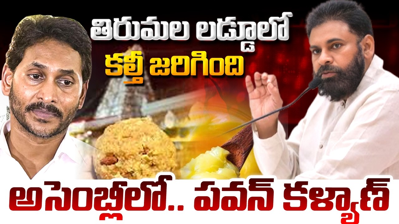 తిరుమల లడ్డూలో కల్తీ జరిగింది అసెంబ్లీలో.. పవన్ కళ్యాణ్ | AP Assembly | Kavyas Media