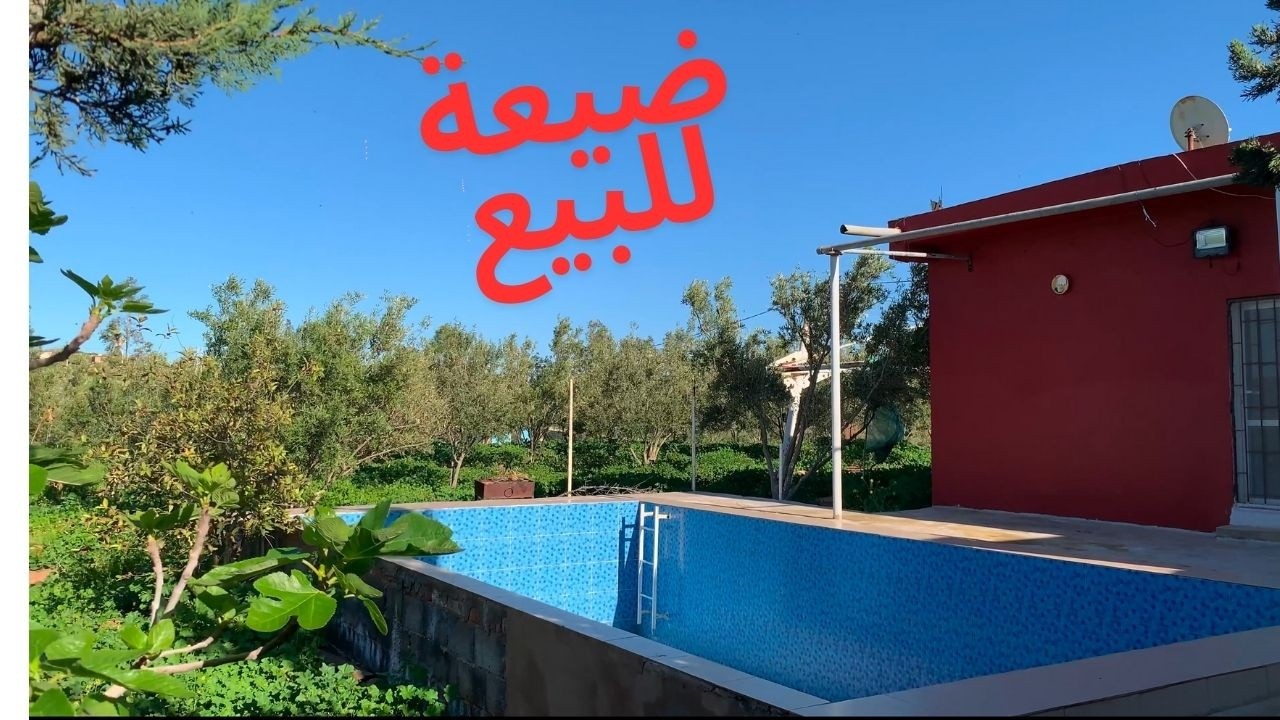 فرصة رائعة: مزرعة للبيع في المغرب بسعر مناسب | التفاصيل الكاملة بعد تساؤلاتكم