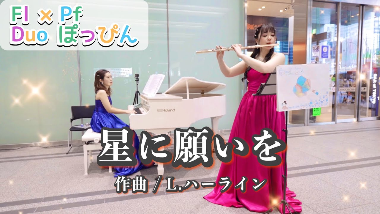 【Flute&Piano】星に願いを / リー•ハーライン When You Wish Upon a Star/L.Harline