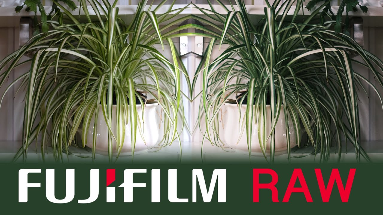 Fujifilm Colour Profiles in Lightroom || FREE X100V Presets! || Keep Film Simulations on RAW Files