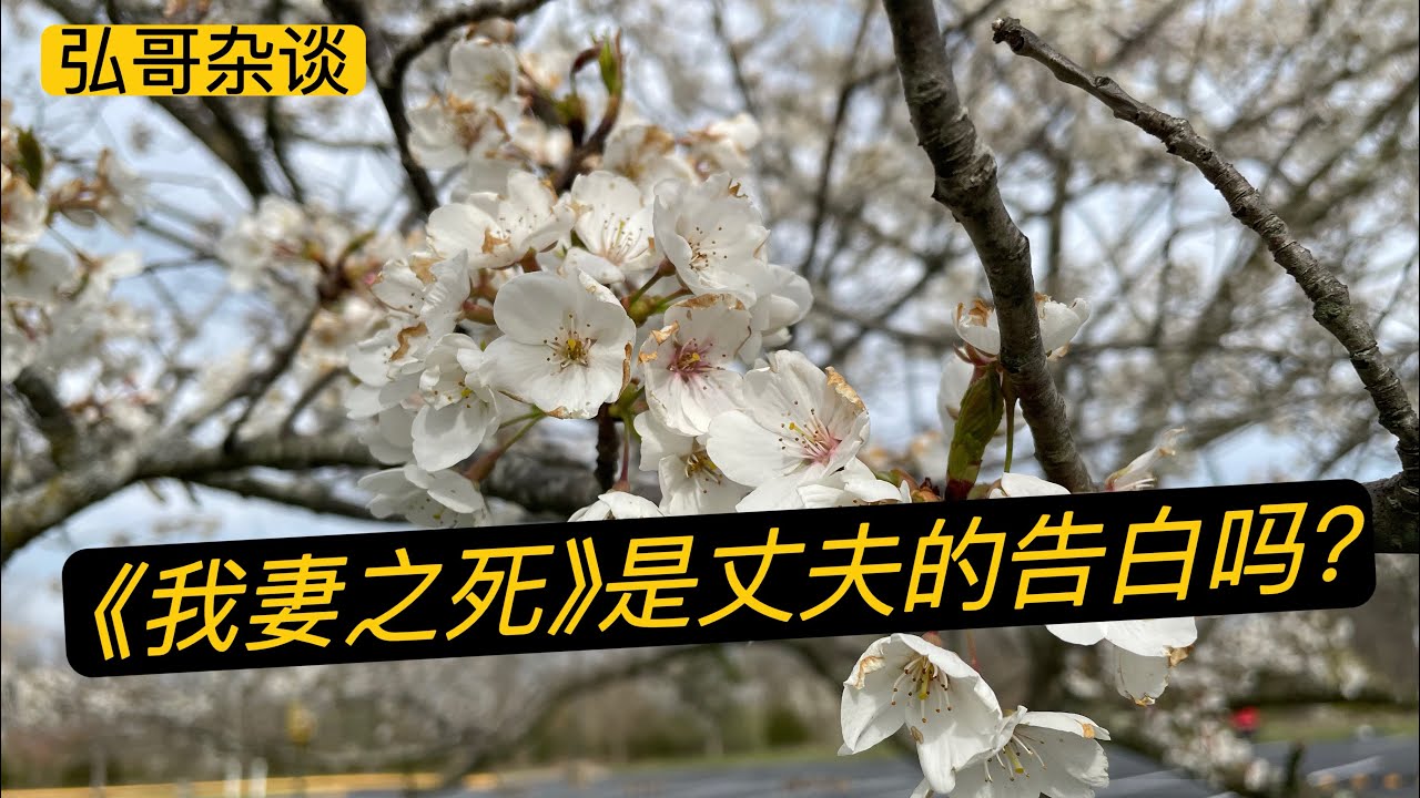 关于《我妻之死》的文章热议，加拿大华人的经历，医疗问题？夫妻模式？移民所累？