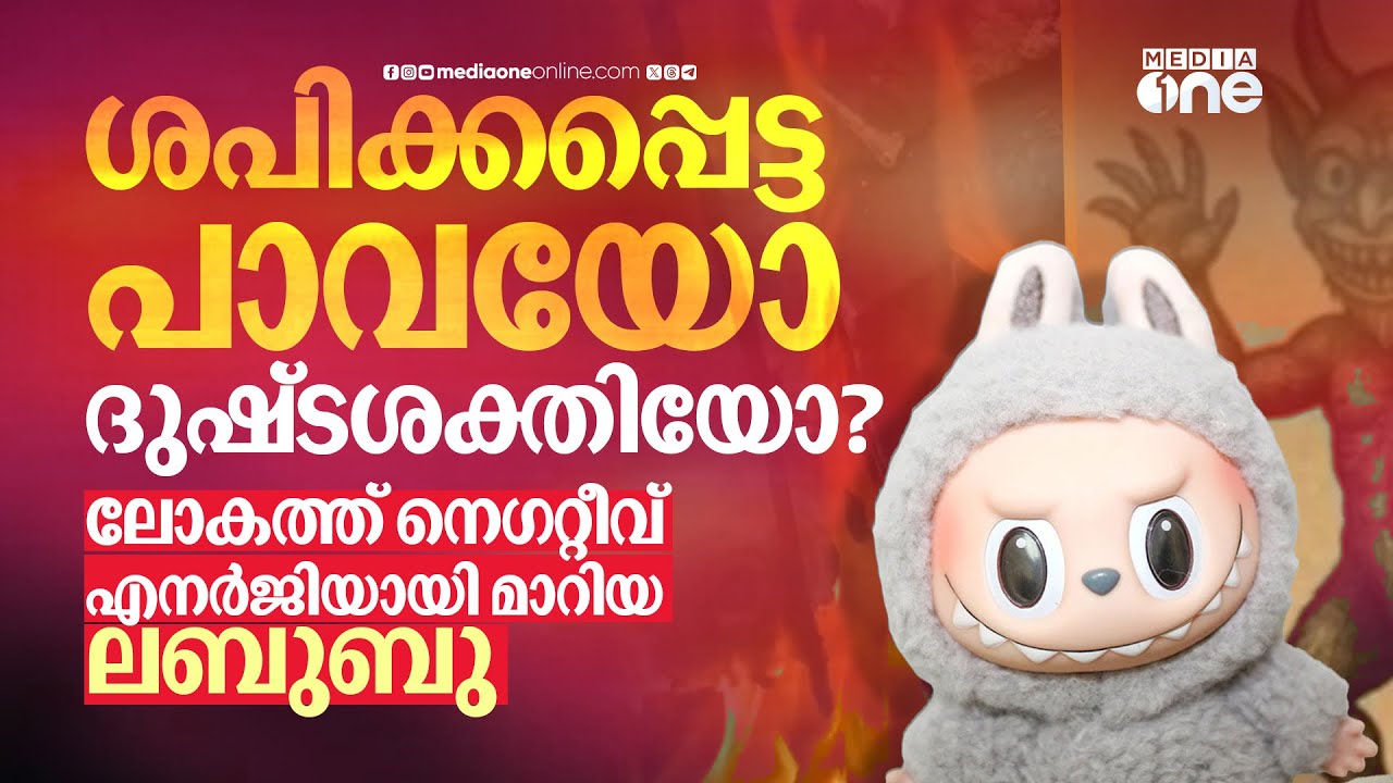 ട്രെൻഡ് കഴിഞ്ഞു, ലബുബു കത്തിച്ച് സെലിബ്രിറ്റികൾ; നെഗറ്റീവ് എനർജിയോ? | Labubu Doll